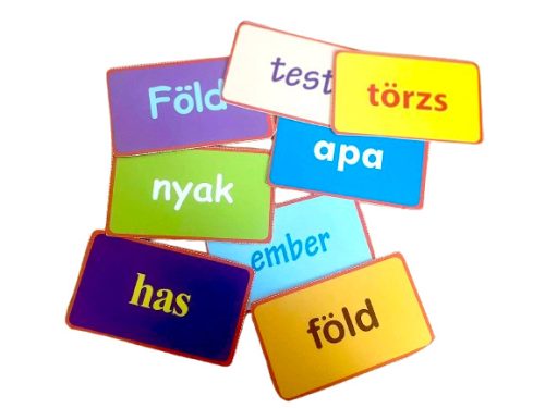 Testrészek: 5. Test mese - szókártyás kiadás