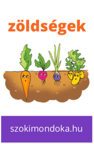 Hűtőmágnes